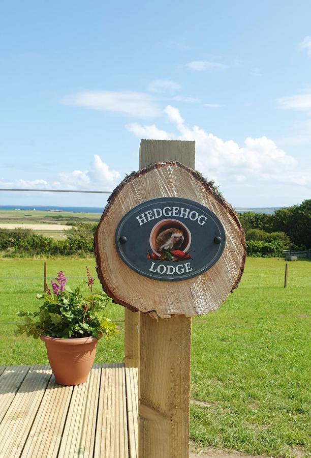 Lilly'S Lodges Orkney Hedgehog Lodge Finstown Εξωτερικό φωτογραφία