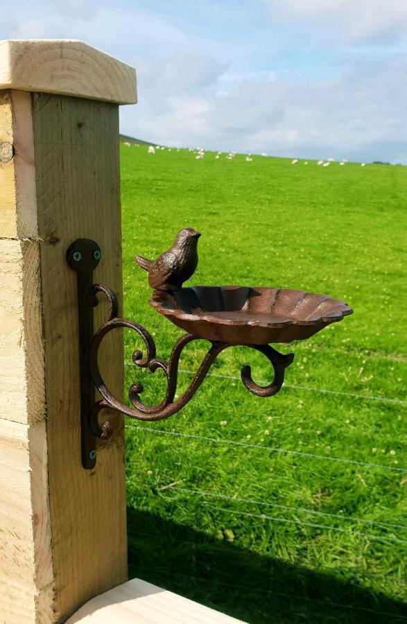 Lilly'S Lodges Orkney Hedgehog Lodge Finstown Εξωτερικό φωτογραφία