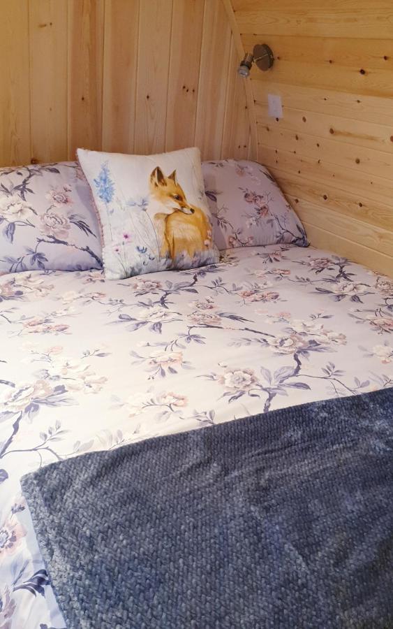Lilly'S Lodges Orkney Hedgehog Lodge Finstown Εξωτερικό φωτογραφία